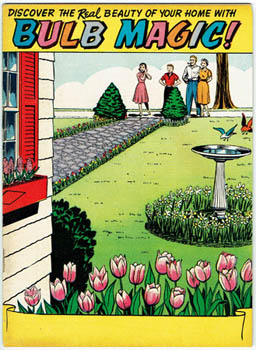 Superhero tulip comic. - Bulb Magic!