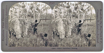 Australian Aborigines. Keystone View Company. - Stereoscope card: Native Australians Hunting.