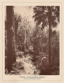 [National Park]. - An Official Guide to the National Park of New South Wales.